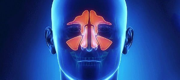 Sinusitis, one of the most common diseases of the nose